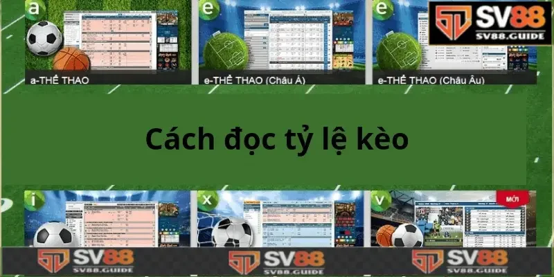 Cách đọc tỷ lệ kèo